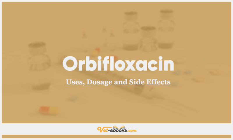 Orbifloxacin In Dogs & Cats: Uses, Dosage and Side Effects