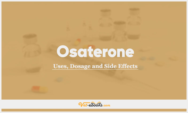 Osaterone In Dogs & Cats: Uses, Dosage and Side Effects