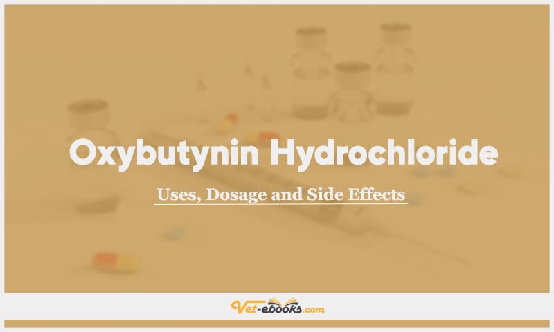 Oxybutynin hydrochloride In Dogs & Cats: Uses, Dosage and Side Effects