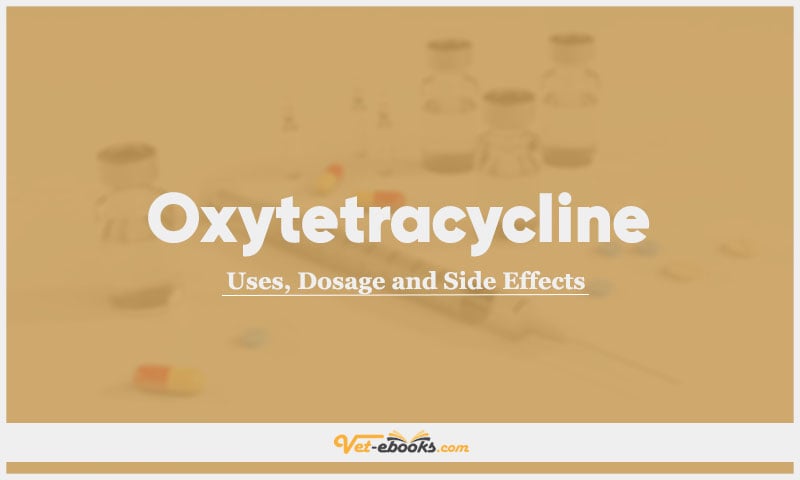 Oxytetracycline In Dogs & Cats: Uses, Dosage and Side Effects
