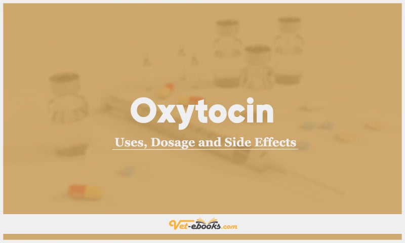 Oxytocin In Dogs & Cats: Uses, Dosage and Side Effects