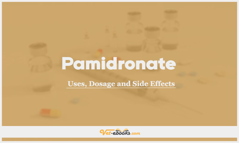 Pamidronate In Dogs & Cats: Uses, Dosage and Side Effects