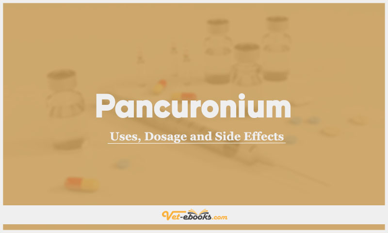 Pancuronium In Dogs & Cats: Uses, Dosage and Side Effects