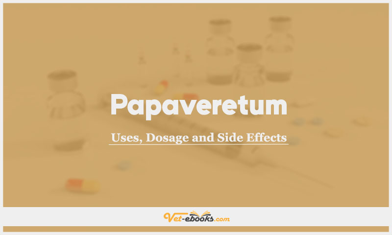 Papaveretum In Dogs & Cats: Uses, Dosage and Side Effects
