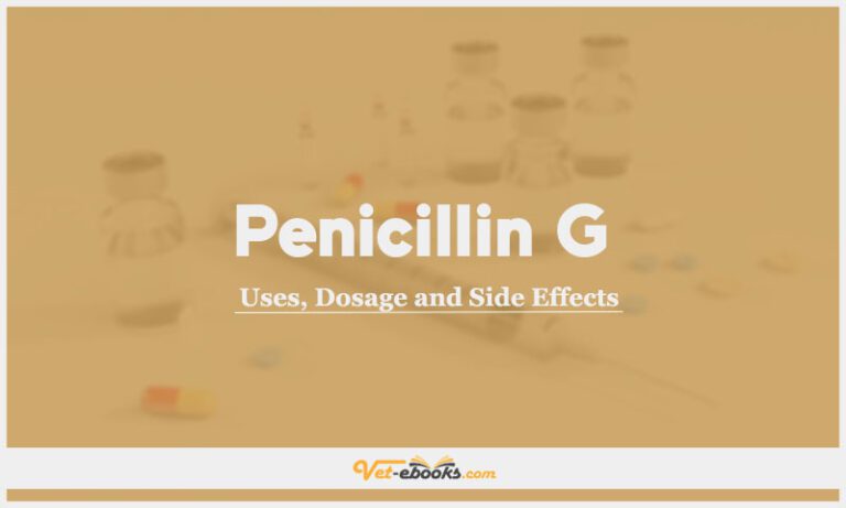 Penicillin G (Benzyl penicillin) Dose For Dogs & Cats | Vet Drugs List