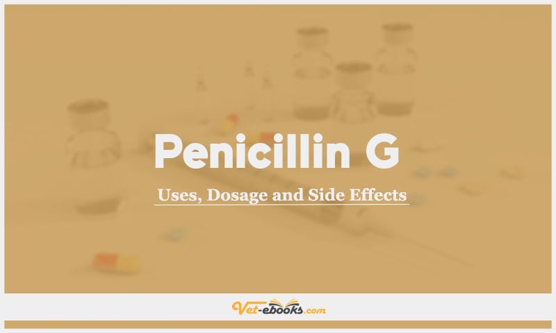 Penicillin G (Benzyl penicillin) In Dogs & Cats: Uses, Dosage and Side Effects
