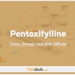 Pentoxifylline In Dogs & Cats: Uses, Dosage and Side Effects