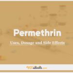 Permethrin In Dogs & Cats: Uses, Dosage and Side Effects