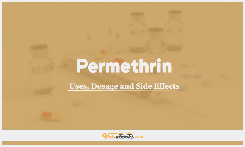 Permethrin In Dogs & Cats: Uses, Dosage and Side Effects