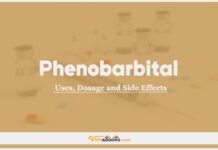 Phenobarbital In Dogs & Cats: Uses, Dosage and Side Effects