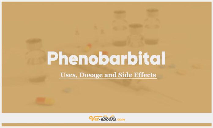 Phenobarbital Dose For Dogs & Cats | Vet Drugs List
