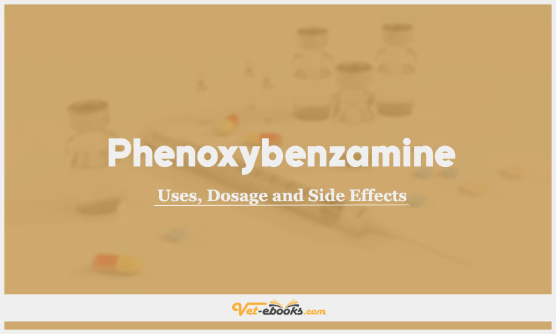 Phenoxybenzamine In Dogs & Cats: Uses, Dosage and Side Effects