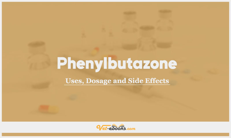 Phenylbutazone In Dogs & Cats: Uses, Dosage and Side Effects