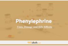 Phenylephrine In Dogs & Cats: Uses, Dosage and Side Effects