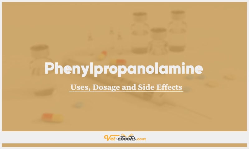 Phenylpropanolamine In Dogs & Cats: Uses, Dosage and Side Effects