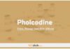 Pholcodine In Dogs & Cats: Uses, Dosage and Side Effects
