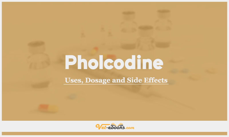 Pholcodine In Dogs & Cats: Uses, Dosage and Side Effects