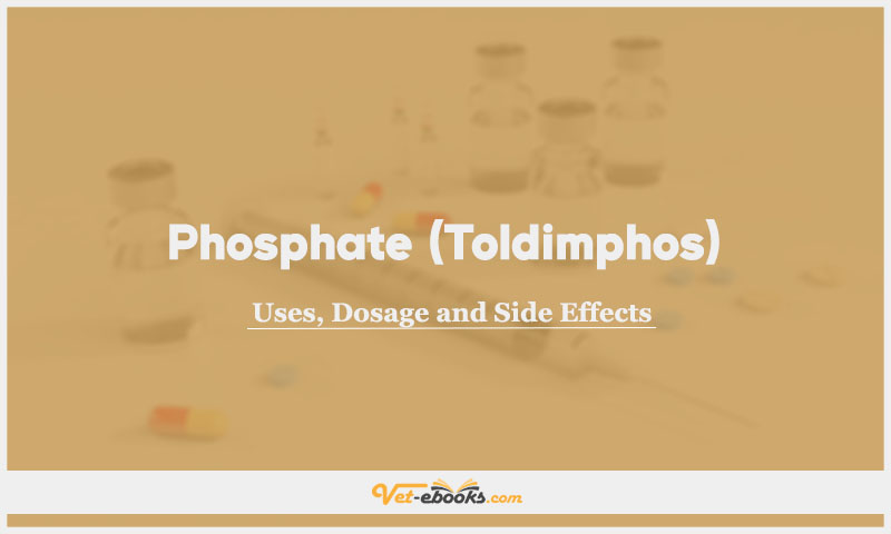 Phosphate (Toldimphos) In Dogs & Cats: Uses, Dosage and Side Effects