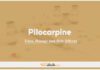 Pilocarpine In Dogs & Cats: Uses, Dosage and Side Effects