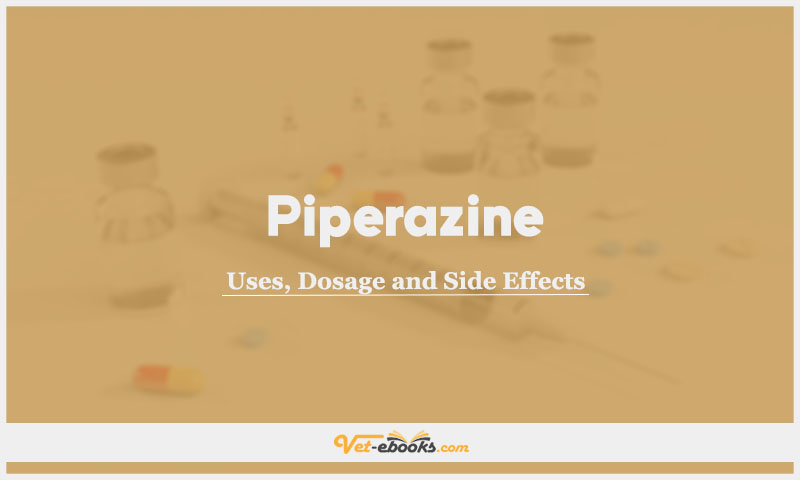Piperazine In Dogs & Cats: Uses, Dosage and Side Effects
