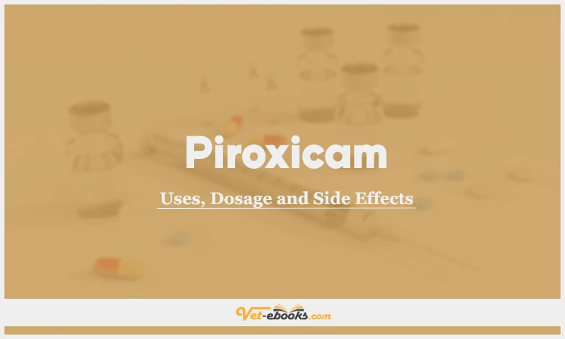 Piroxicam In Dogs & Cats: Uses, Dosage and Side Effects