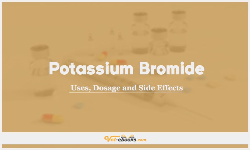 Potassium bromide In Dogs & Cats: Uses, Dosage and Side Effects