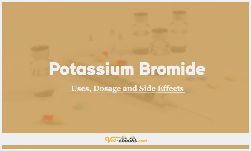 Potassium bromide In Dogs & Cats: Uses, Dosage and Side Effects