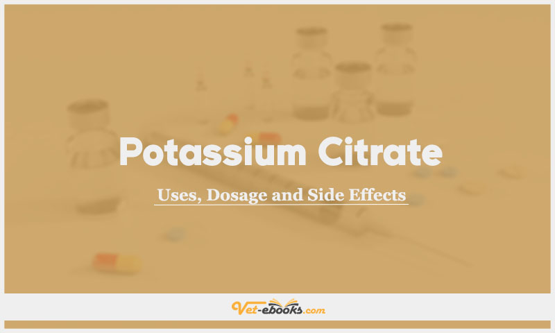 Potassium citrate In Dogs & Cats: Uses, Dosage and Side Effects