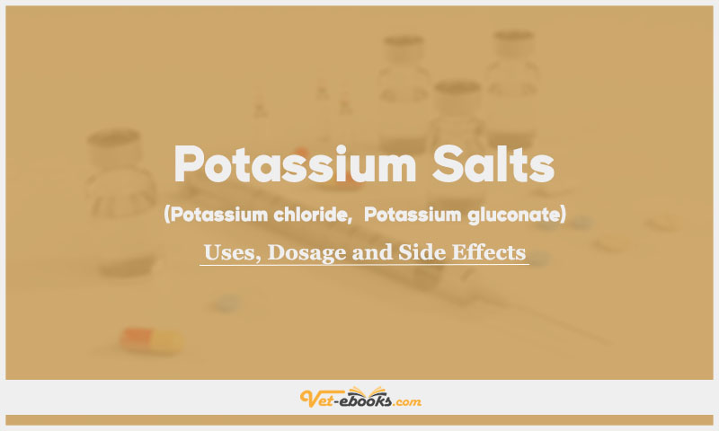Potassium salts (Potassium chloride,
Potassium gluconate) In Dogs & Cats: Uses, Dosage and Side Effects