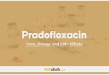 Pradofloxacin In Dogs & Cats: Uses, Dosage and Side Effects