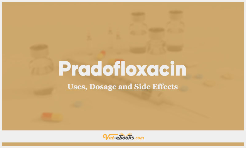 Pradofloxacin In Dogs & Cats: Uses, Dosage and Side Effects