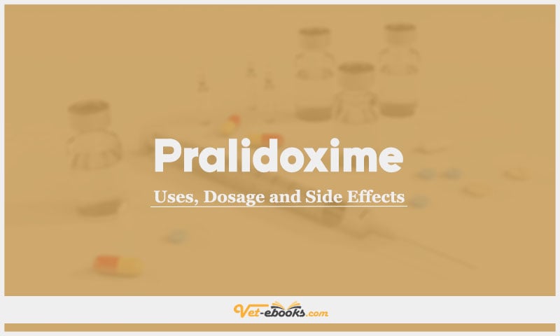 Pralidoxime In Dogs & Cats: Uses, Dosage and Side Effects