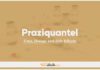 Praziquantel In Dogs & Cats: Uses, Dosage and Side Effects