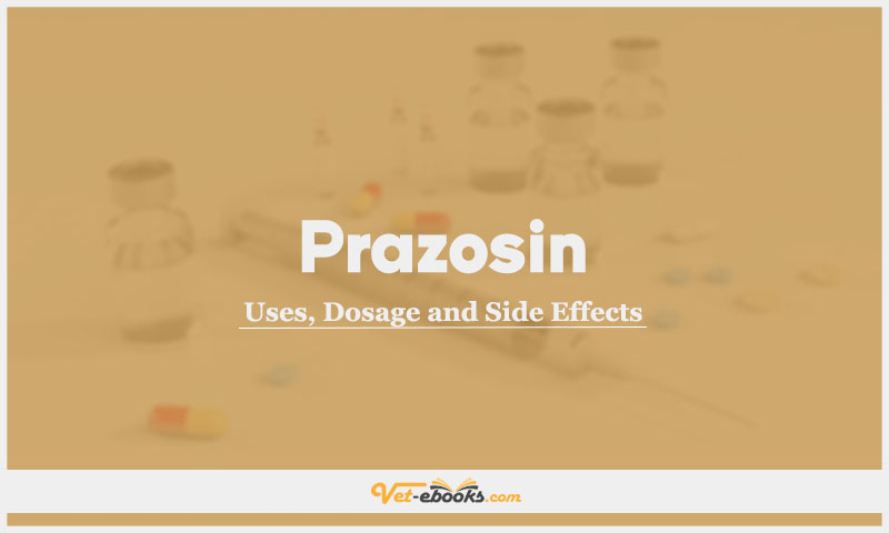 Prazosin In Dogs & Cats: Uses, Dosage and Side Effects