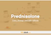 Prednisolone In Dogs & Cats: Uses, Dosage and Side Effects