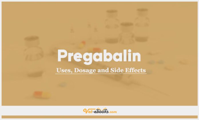 is gabapentin or pregabalin better for dogs