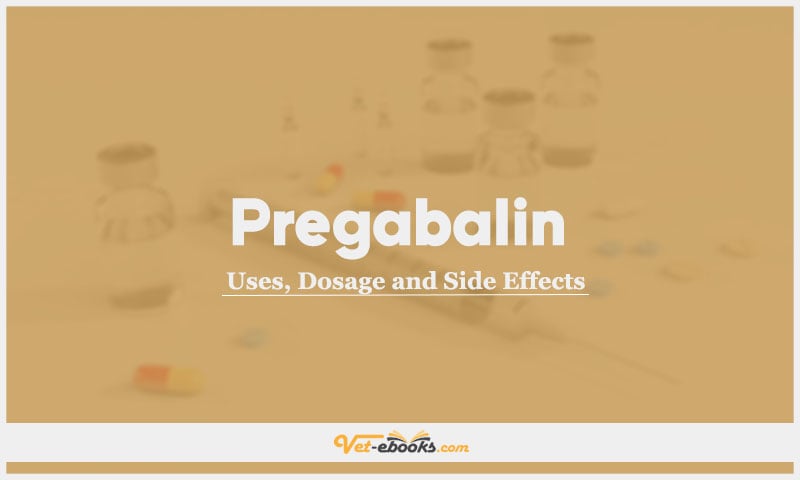 Pregabalin In Dogs & Cats: Uses, Dosage and Side Effects