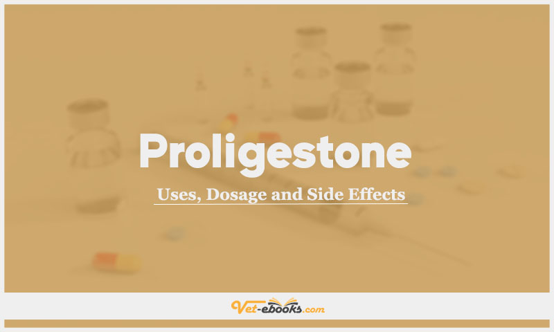 Proligestone In Dogs & Cats: Uses, Dosage and Side Effects