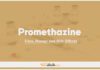 Promethazine In Dogs & Cats: Uses, Dosage and Side Effects