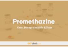 Promethazine In Dogs & Cats: Uses, Dosage and Side Effects