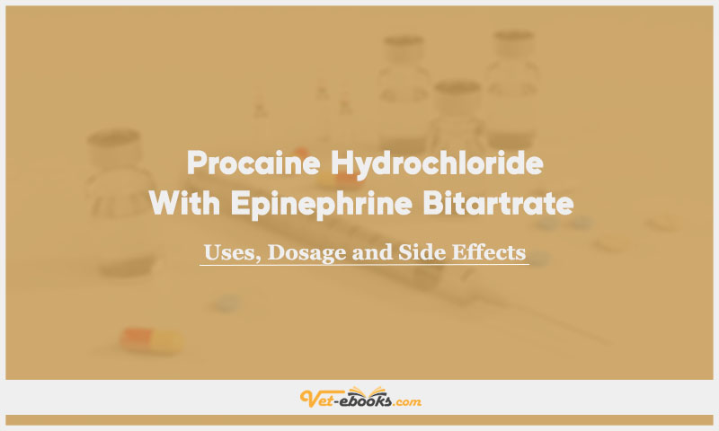 Procaine Hydrochloride With Epinephrine Bitartrate In Dogs & Cats: Uses, Dosage and Side Effects