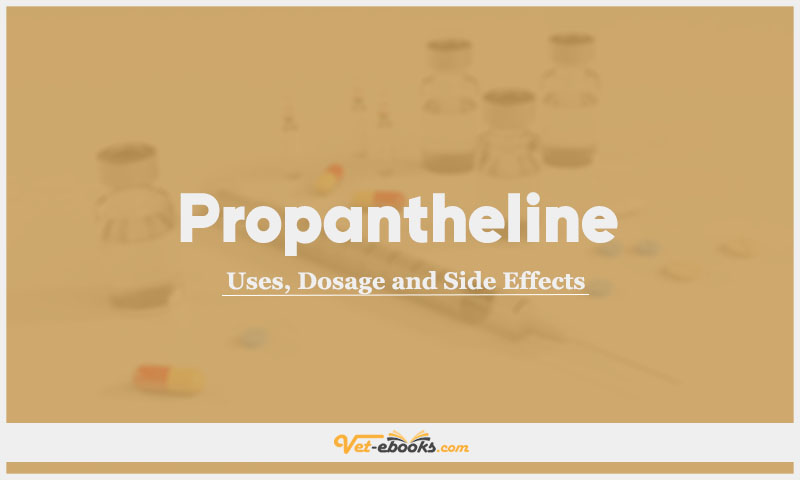 Propantheline In Dogs & Cats: Uses, Dosage and Side Effects
