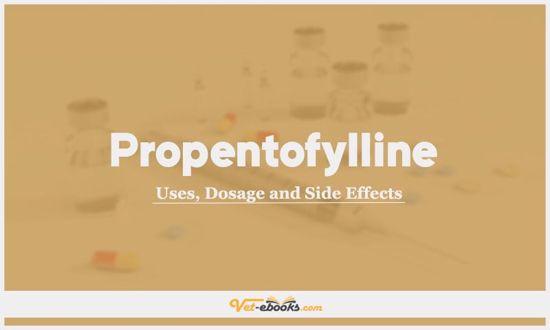 Propentofylline In Dogs & Cats: Uses, Dosage and Side Effects