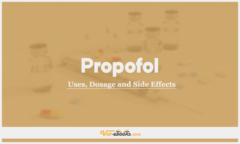 Propofol In Dogs & Cats: Uses, Dosage and Side Effects