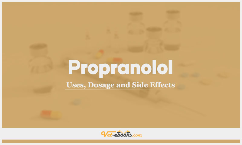 Propranolol In Dogs & Cats: Uses, Dosage and Side Effects
