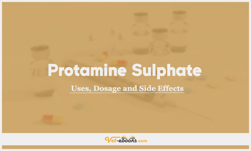 Protamine Sulphate In Dogs & Cats: Uses, Dosage and Side Effects