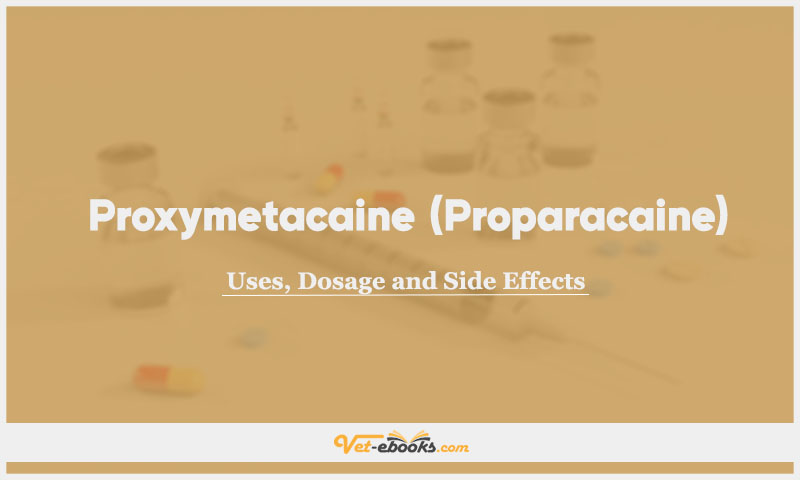 Proxymetacaine (Proparacaine) In Dogs & Cats: Uses, Dosage and Side Effects