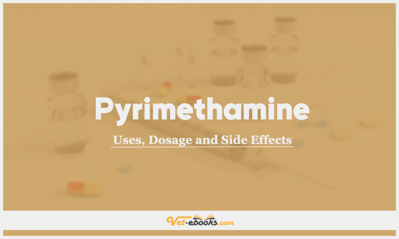 Pyrimethamine In Dogs & Cats: Uses, Dosage and Side Effects