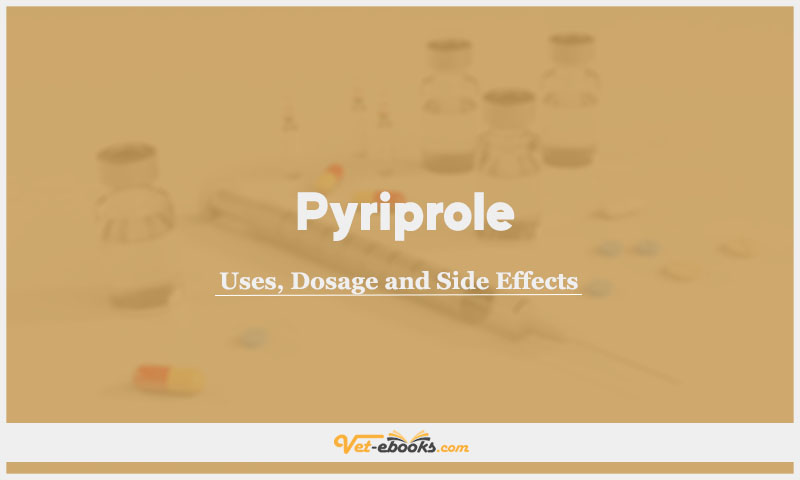 Pyriprole In Dogs & Cats: Uses, Dosage and Side Effects