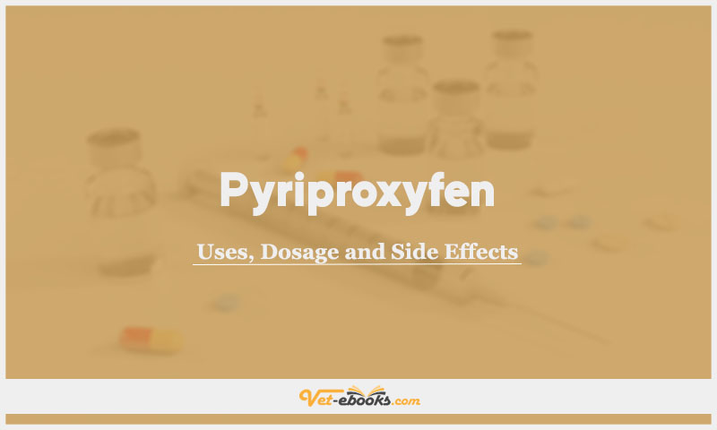 Pyriproxyfen In Dogs & Cats: Uses, Dosage and Side Effects